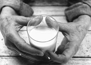 Live a healthy lifestyle – South Jetty