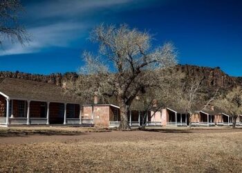 Davis, Rook are first team All-Ohio picks – The Steubenville Herald-Star