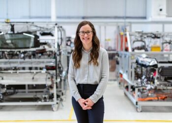 Technology developed by MIT engineers makes pesticides stick to plant leaves – MIT News