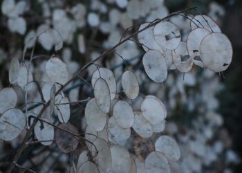 Silver Moon Brewing hosts Arts Fishing Club – The Bulletin