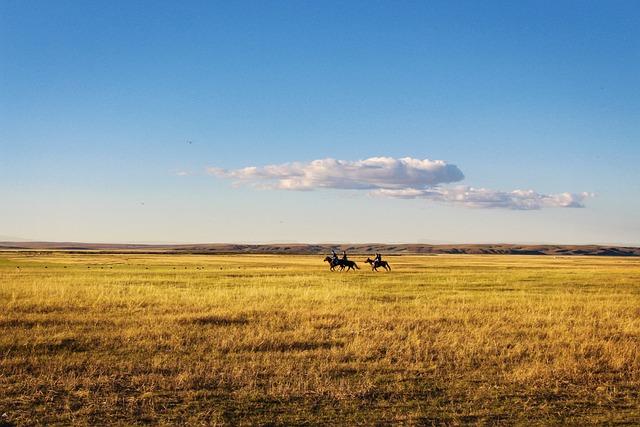 Understanding the Dynamics ‍of‍ Grassland Shifts in a⁣ Warming Climate