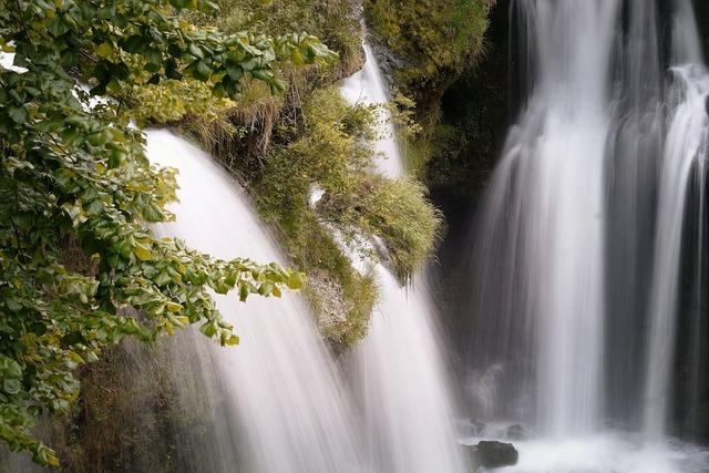 Unraveling the Effects of Stream Wetting on Ecosystem ‍Dynamics