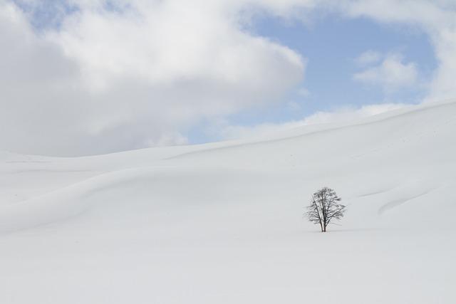 The Impact of Isolation: Understanding the Psychological​ Strain ⁢on Researchers