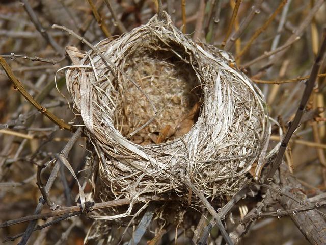 The ​Science Behind ‌Incubation: ⁤Understanding the Sleeping Process