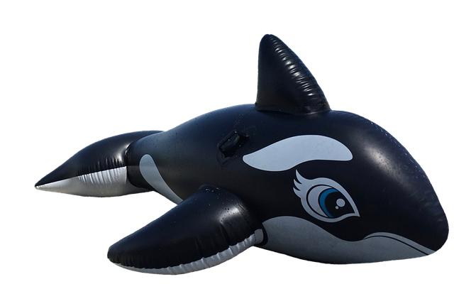 Exploring ‌the Predator-Prey Dynamics ‍Between‌ Killer⁤ Whales and White Sharks