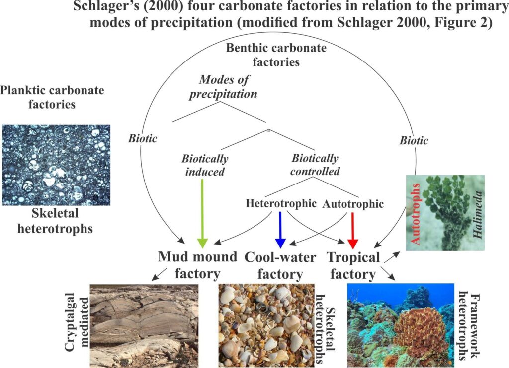 Carbonates identified by the Curiosity rover indicate a carbon cycle operated on ancient Mars – Science | AAAS