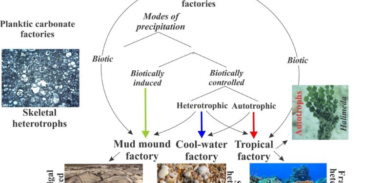 Carbonates identified by the Curiosity rover indicate a carbon cycle operated on ancient Mars – Science | AAAS