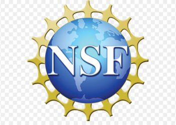 NSF starts to kill grants that violate Trump’s war on diversity efforts – Science | AAAS