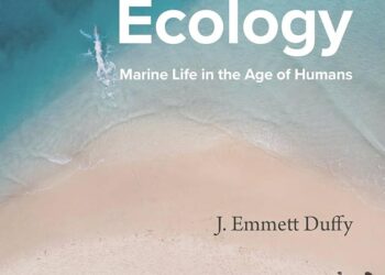 The life aquatic: this board game lets you dip into marine ecology – Nature