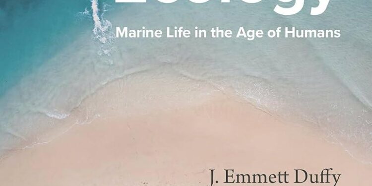 The life aquatic: this board game lets you dip into marine ecology – Nature