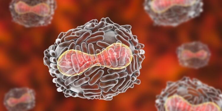 Scientists Discover First Giant Virus in Finnish Soil – SciTechDaily