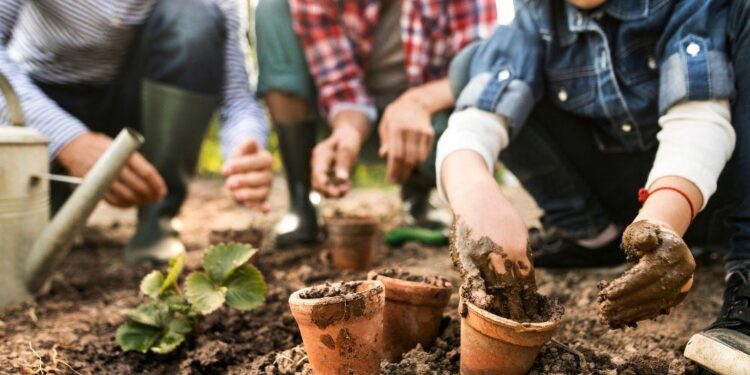 Finding a greener way: Composting added to therapy gardening program – WellSpan Health