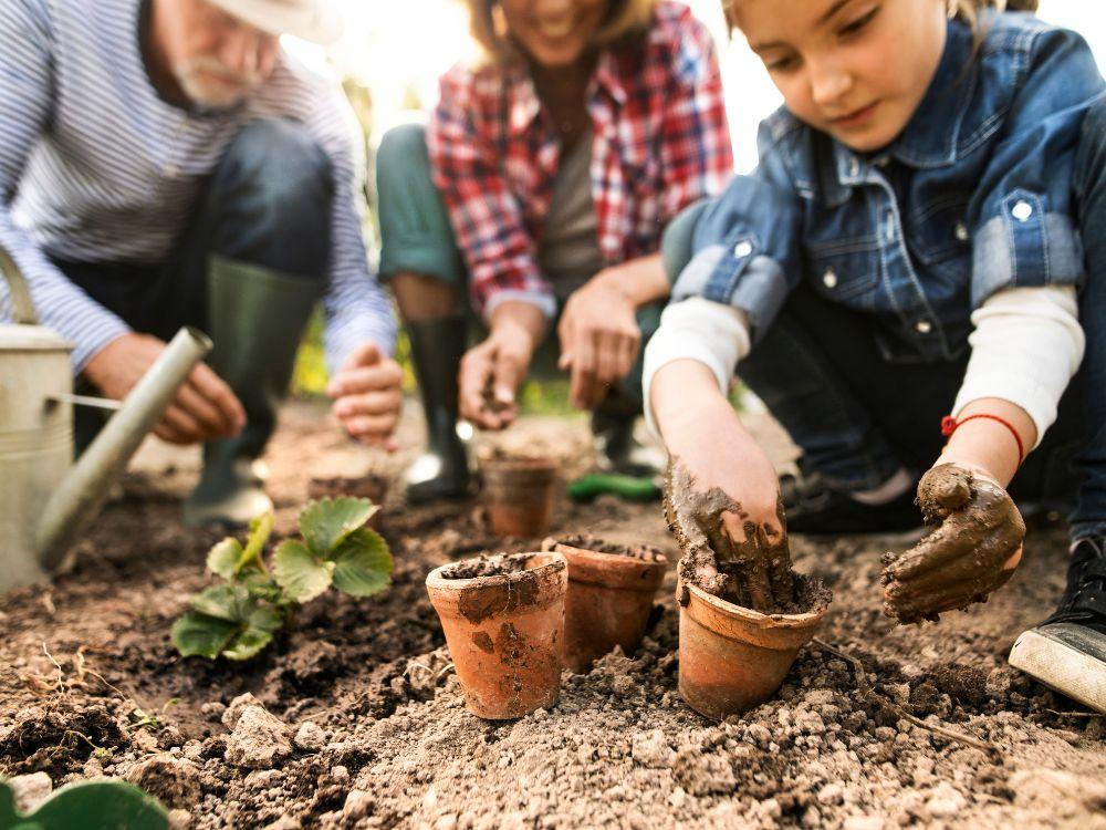 Finding a greener way: Composting added to therapy gardening program – WellSpan Health