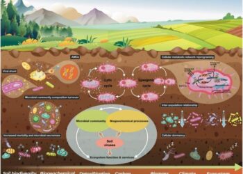 Unravelling viral ecology and evolution over 20 years in a freshwater lake – Nature