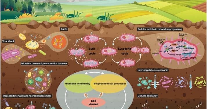 Unravelling viral ecology and evolution over 20 years in a freshwater lake – Nature