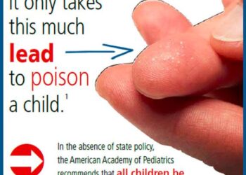 Public Health Works to Prevent Lead Poisoning in Putnam – Putnam County, New York (.gov)