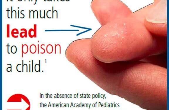 Public Health Works to Prevent Lead Poisoning in Putnam – Putnam County, New York (.gov)