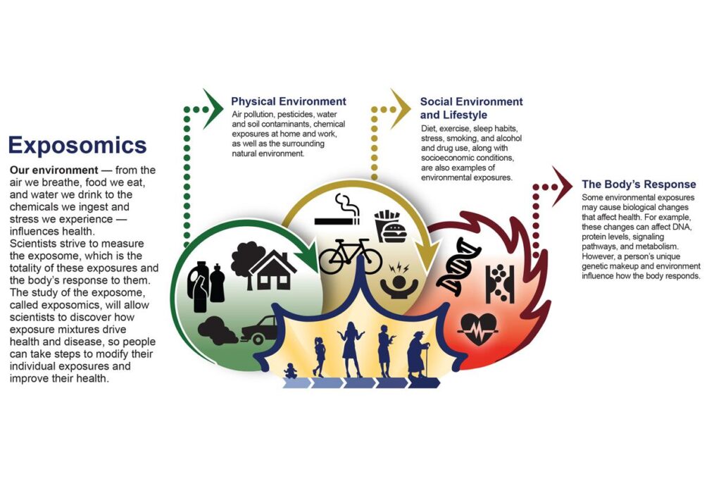 Integrating exposomics into biomedicine – Science | AAAS