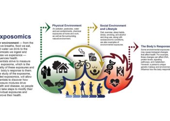 Integrating exposomics into biomedicine – Science | AAAS