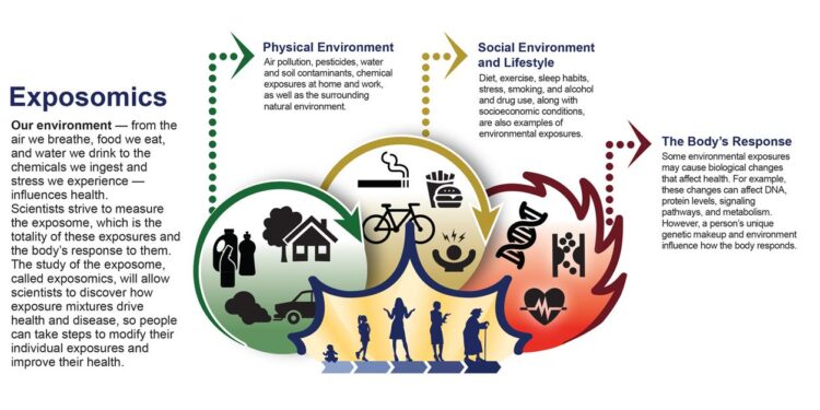 Integrating exposomics into biomedicine – Science | AAAS