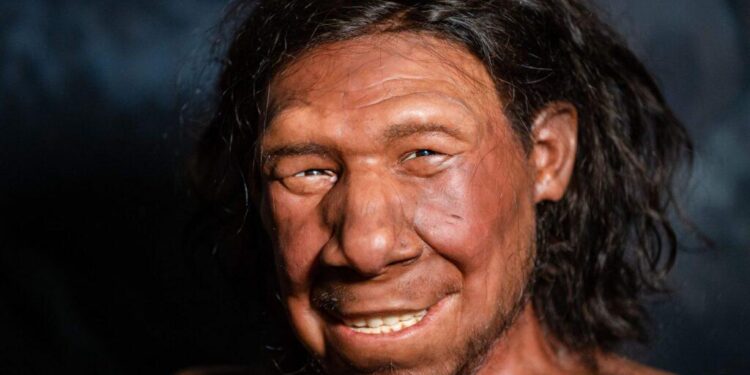 Neanderthals invented their own bone weapon technology by 80,000 years ago – Ars Technica