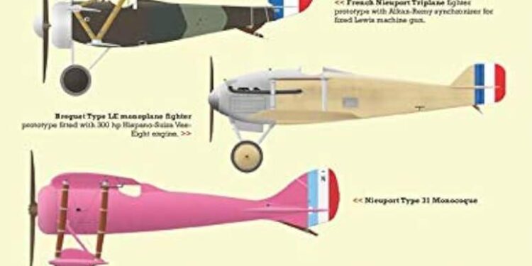 At the edge of the world, French and Swedish warplanes deter Putin – politico.eu