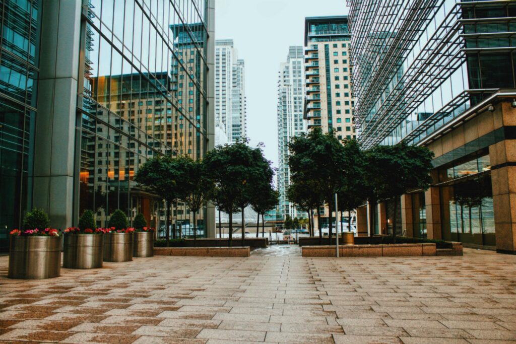 Urban Environments Promote Adaptation to Multiple Stressors – Briski – 2025 – Ecology Letters – Wiley Online Library