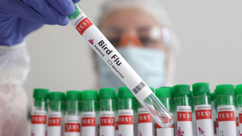 US CDC cancels science group workshop on preventing human bird flu infections – Reuters