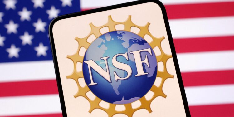 National Science Foundation Cancels More Than 400 STEM Grants – Education Week