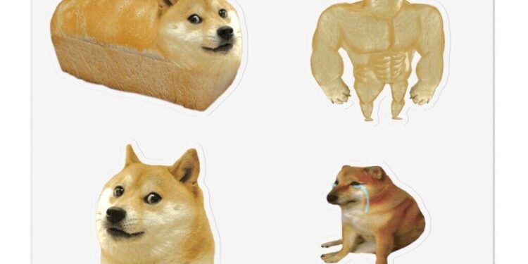 Amid DOGE-induced turmoil, National Science Foundation is in crisis – The Washington Post