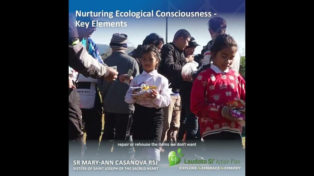 Inspired by Laudato Si’, sisters turn Francis’ vision into ecological action – National Catholic Reporter
