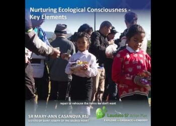 Inspired by Laudato Si’, sisters turn Francis’ vision into ecological action – National Catholic Reporter