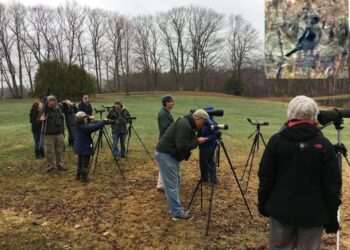 Eyes on the Skies: Cornell Birding Club Prepares for World Series Competition – The Cornell Daily Sun