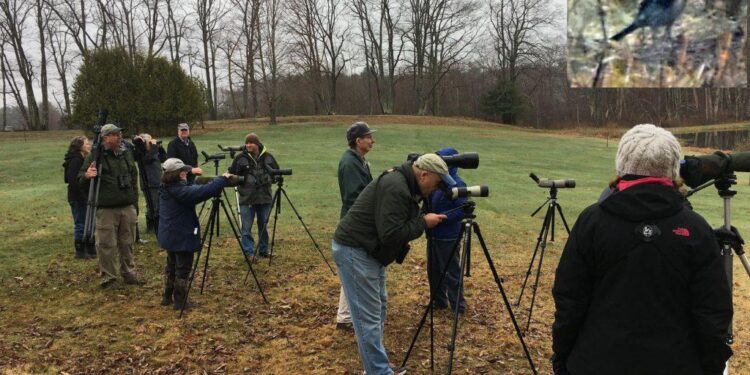 Eyes on the Skies: Cornell Birding Club Prepares for World Series Competition – The Cornell Daily Sun