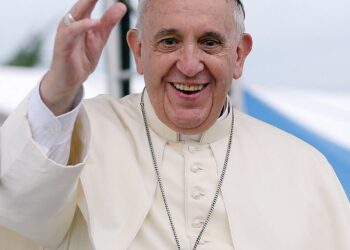 Pope Francis, the Church and Catholic Teaching on Economics and Ecology and Technolog – EXPERT Available | Newswise – Newswise