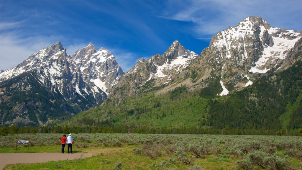 Grand Teton deploys papier-mâché birds – Popular Science