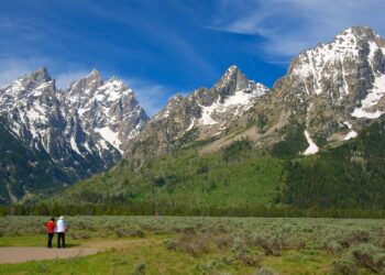 Grand Teton deploys papier-mâché birds – Popular Science