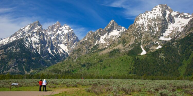 Grand Teton deploys papier-mâché birds – Popular Science