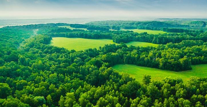 Reconciling ecology and evolutionary game theory or “When not to think cooperation” – PNAS