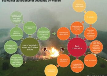 Quantifying disturbance effects on ecosystem services in a changing climate – Nature