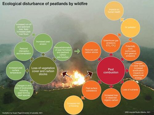 Quantifying disturbance effects on ecosystem services in a changing climate – Nature