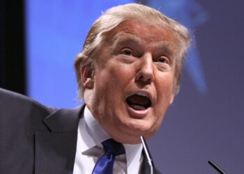 Documenting Trump’s “Arbitrary” Cuts to Science – Inside Higher Ed