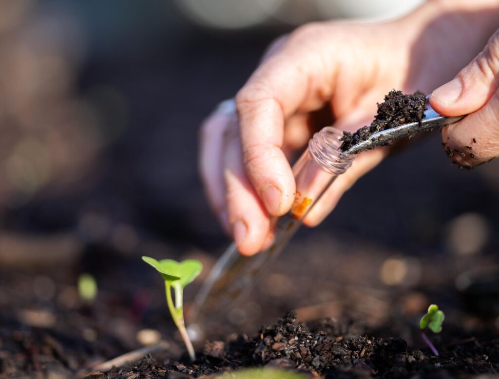 What’s in your backyard? Public invited to test soil samples for toxics – Department of Ecology – State of Washington (.gov)