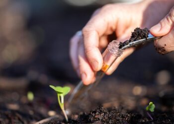 What’s in your backyard? Public invited to test soil samples for toxics – Department of Ecology – State of Washington (.gov)