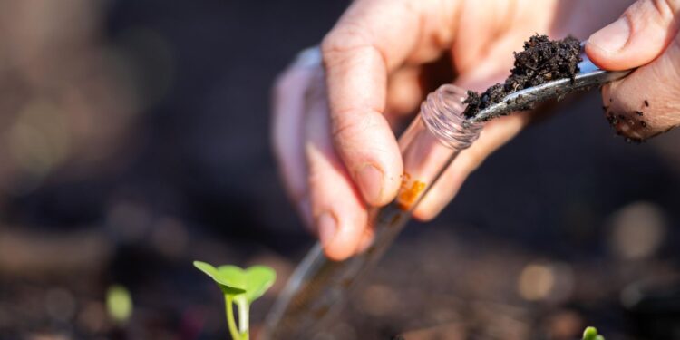 What’s in your backyard? Public invited to test soil samples for toxics – Department of Ecology – State of Washington (.gov)