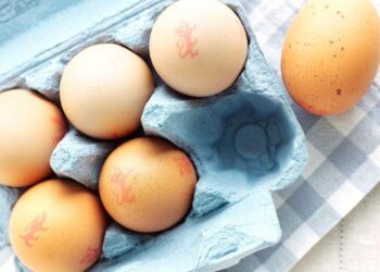 Yolk’s on you – eggs break less when they land sideways – theregister.com