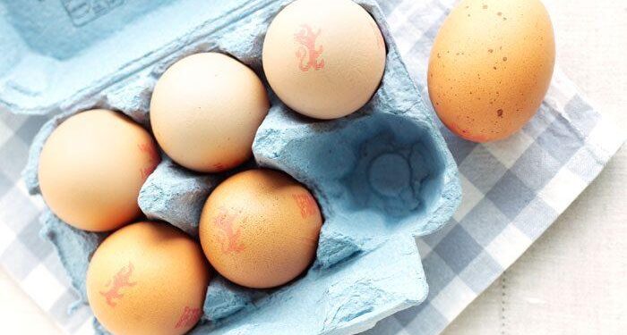 Yolk’s on you – eggs break less when they land sideways – theregister.com