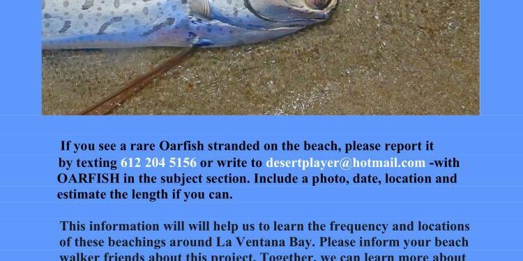 Officials announce massive project that could reshape electric vehicle technology: ‘This is exactly the type of investment that will help us grow the economy’ – Yahoo Finance