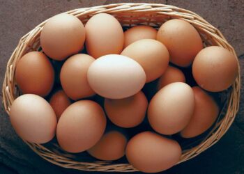 Eggs are less likely to crack when dropped on their side, according to science – NBC News