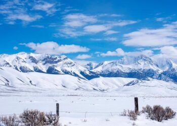 Is the US economy about to collapse? – FreightWaves